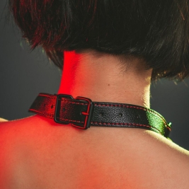 Кляп-трензель Infatuation